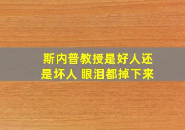 斯内普教授是好人还是坏人 眼泪都掉下来